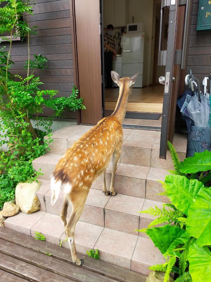 Mini Inn Nara- - 外国人向け - 日本人予約不可 Exterior photo